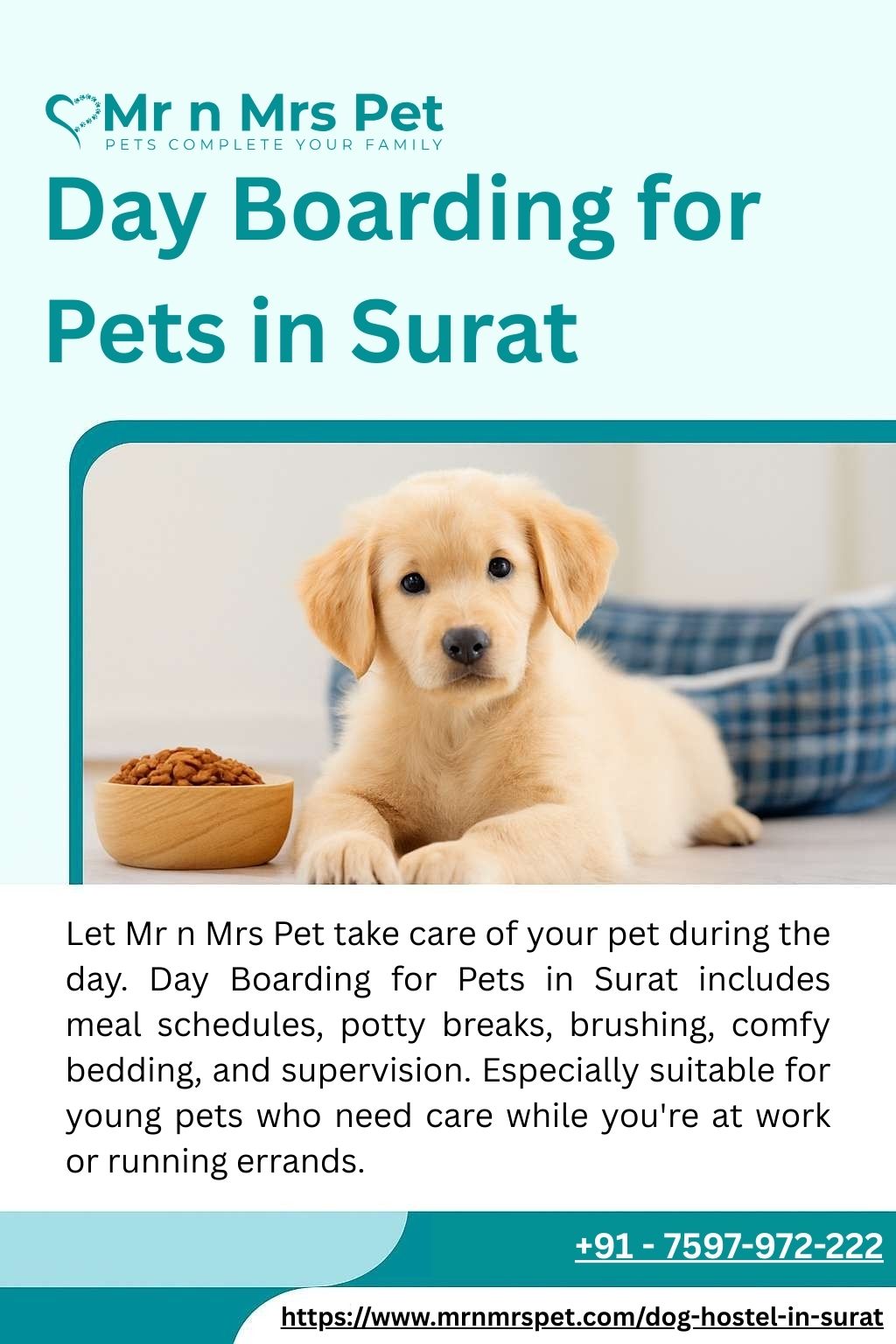 Day Boarding for Pets in Surat